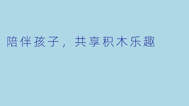 陪伴孩子，共享积木乐趣