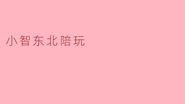 ### 小智东北陪玩的魅力与特色