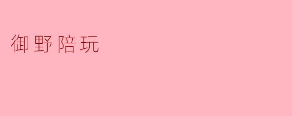 御野陪玩