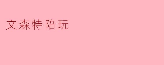 文森特陪玩