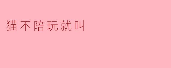 猫不陪玩就叫