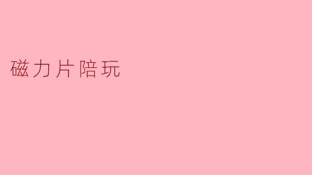探索磁力片的陪玩魅力:玩乐与创意的结合