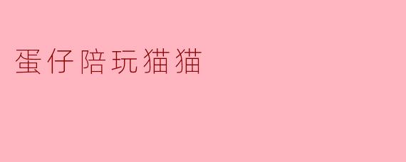 蛋仔陪玩猫猫