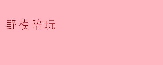 野模陪玩