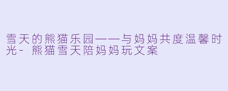 雪天的熊猫乐园——与妈妈共度温馨时光-熊猫雪天陪妈妈玩文案