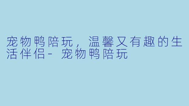 宠物鸭陪玩，温馨又有趣的生活伴侣-宠物鸭陪玩