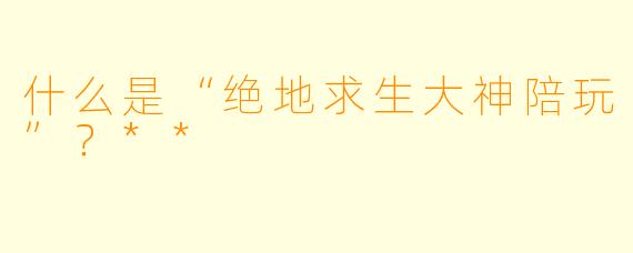 什么是“绝地求生大神陪玩”？**