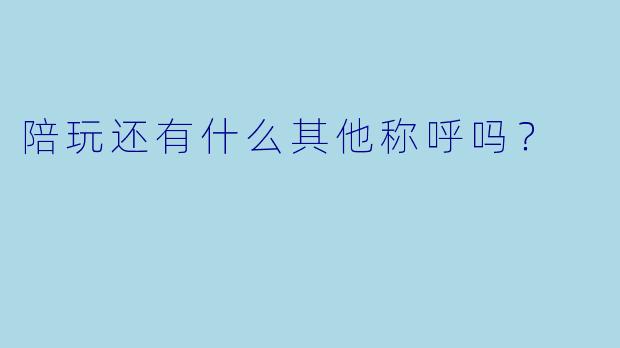 陪玩还有什么其他称呼吗？  