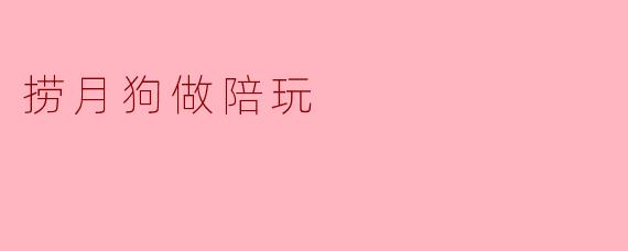 捞月狗做陪玩