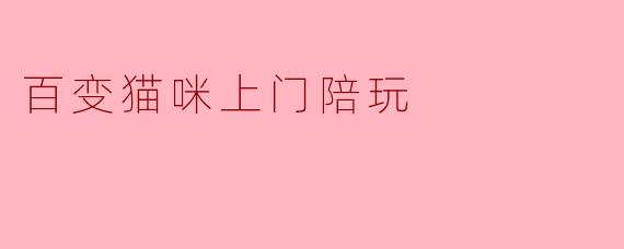 百变猫咪上门陪玩,让每个家都充满欢乐