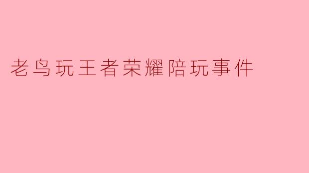 老鸟玩王者荣耀陪玩事件