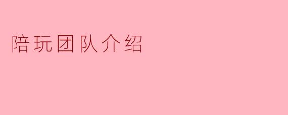 陪玩团队介绍