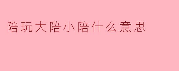 陪玩大陪小陪什么意思