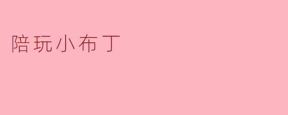 陪玩小布丁