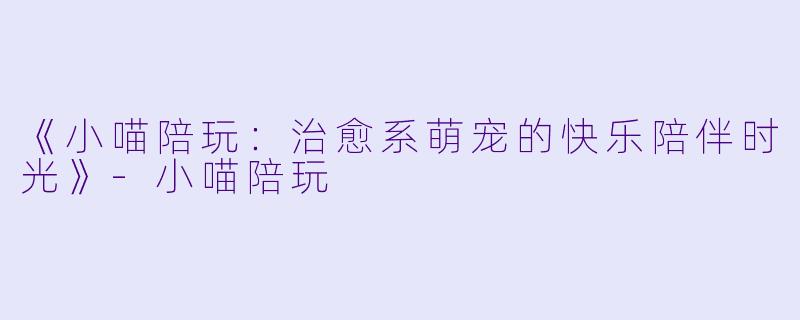 《小喵陪玩：治愈系萌宠的快乐陪伴时光》-小喵陪玩