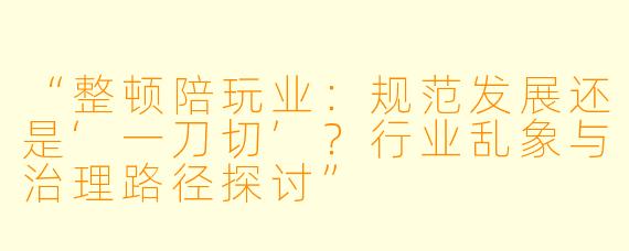 “整顿陪玩业：规范发展还是‘一刀切’？行业乱象与治理路径探讨”
