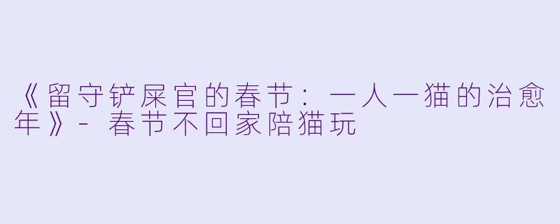 《留守铲屎官的春节：一人一猫的治愈年》-春节不回家陪猫玩