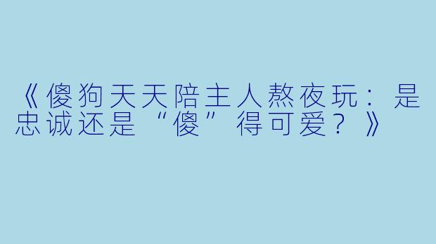 《傻狗天天陪主人熬夜玩：是忠诚还是“傻”得可爱？》