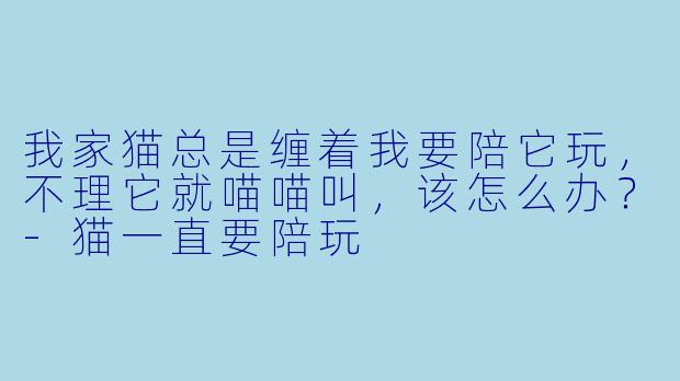 我家猫总是缠着我要陪它玩,不理它就喵喵叫,该怎么办?