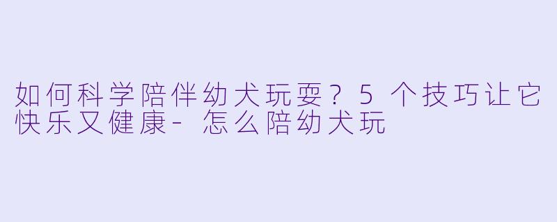 如何科学陪伴幼犬玩耍？5个技巧让它快乐又健康-怎么陪幼犬玩