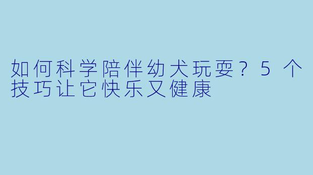 如何科学陪伴幼犬玩耍？5个技巧让它快乐又健康