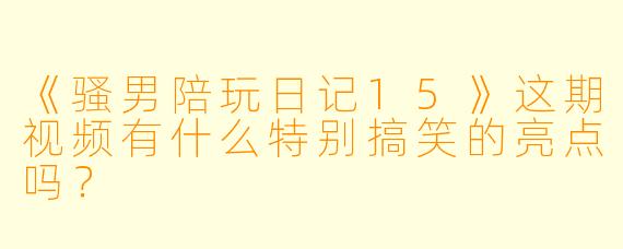 《骚男陪玩日记15》这期视频有什么特别搞笑的亮点吗？