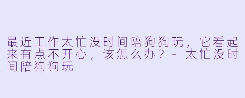 最近工作太忙没时间陪狗狗玩,它看起来有点不开心,该怎么办?