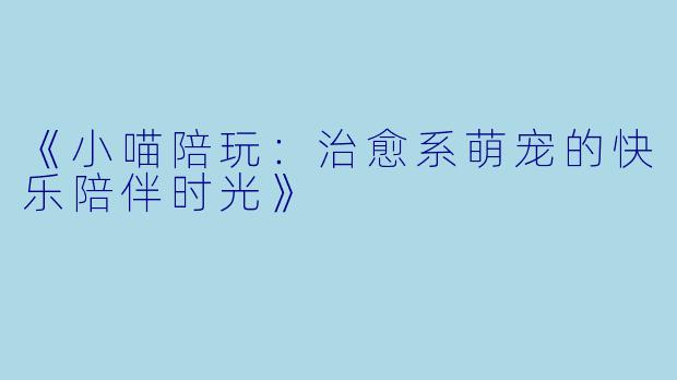 《小喵陪玩：治愈系萌宠的快乐陪伴时光》
