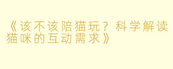 《该不该陪猫玩？科学解读猫咪的互动需求》