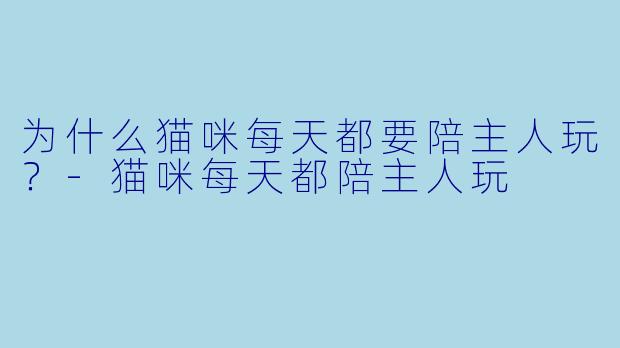 为什么猫咪每天都要陪主人玩？