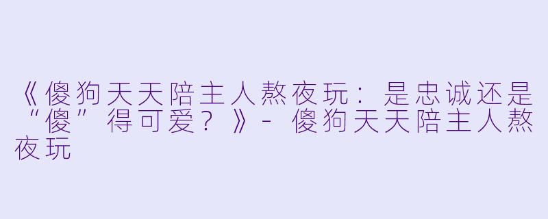 《傻狗天天陪主人熬夜玩：是忠诚还是“傻”得可爱？》