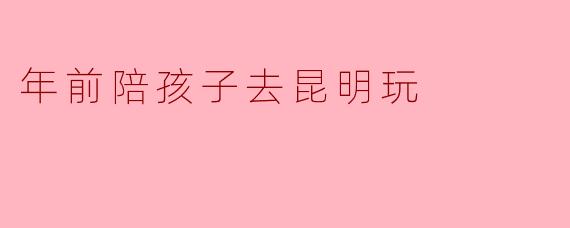年前带孩子去昆明玩,有哪些适合亲子游的景点推荐?