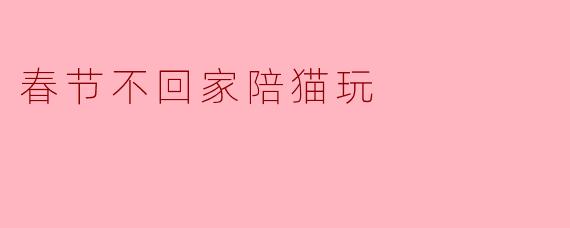 《留守铲屎官的春节：一人一猫的治愈年》