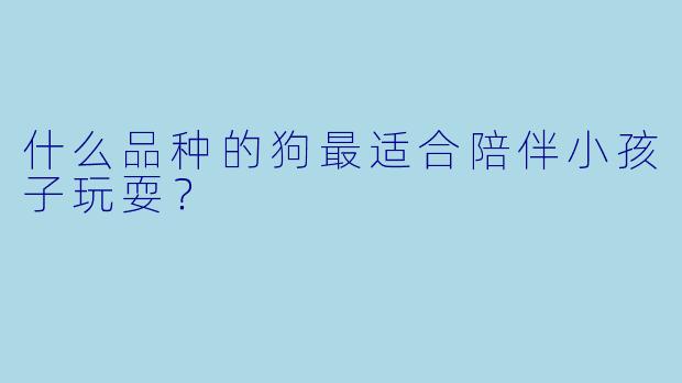 什么品种的狗最适合陪伴小孩子玩耍？