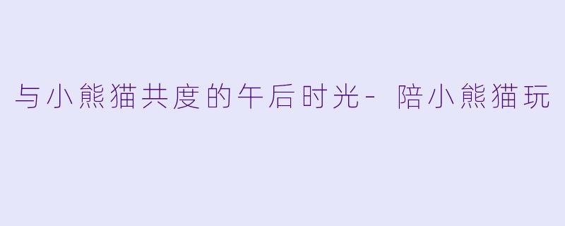 与小熊猫共度的午后时光-陪小熊猫玩