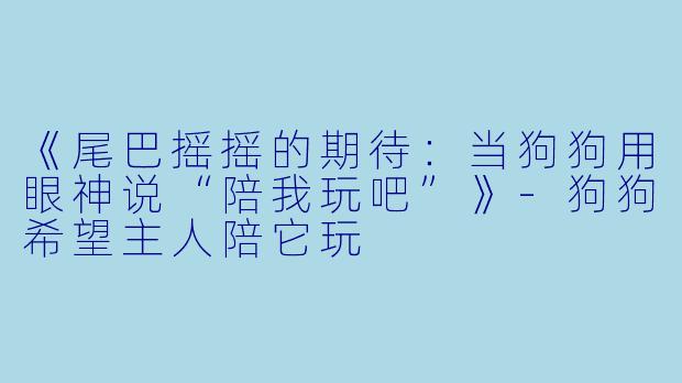 《尾巴摇摇的期待：当狗狗用眼神说“陪我玩吧”》-狗狗希望主人陪它玩
