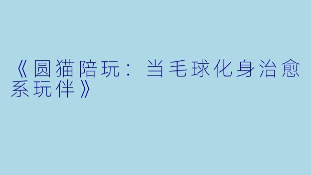 《圆猫陪玩：当毛球化身治愈系玩伴》