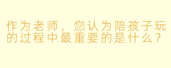 作为老师，您认为陪孩子玩的过程中最重要的是什么？