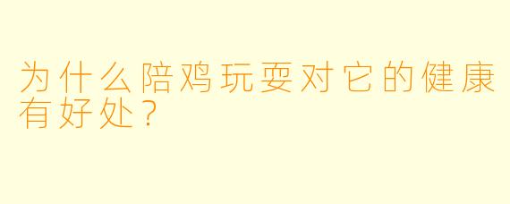 为什么陪鸡玩耍对它的健康有好处？