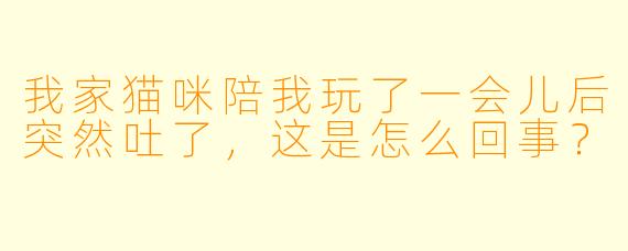 我家猫咪陪我玩了一会儿后突然吐了，这是怎么回事？
