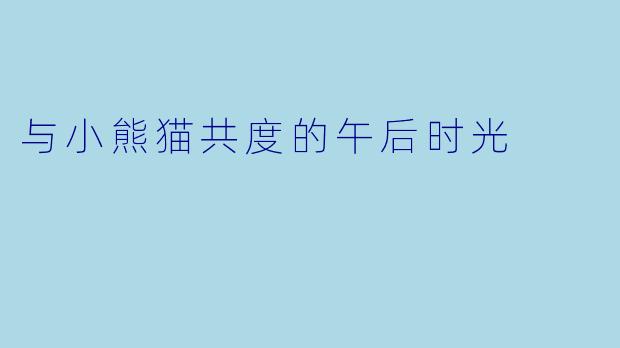 与小熊猫共度的午后时光
