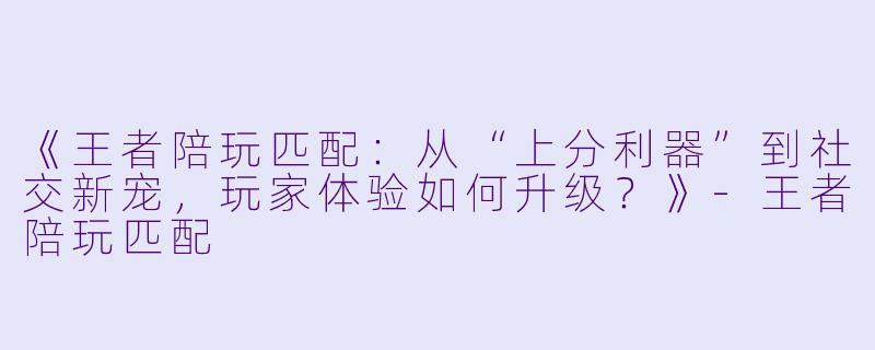 《王者陪玩匹配：从“上分利器”到社交新宠，玩家体验如何升级？》-王者陪玩匹配
