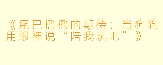 《尾巴摇摇的期待：当狗狗用眼神说“陪我玩吧”》