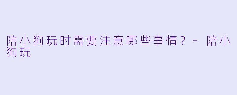 陪小狗玩时需要注意哪些事情？-陪小狗玩
