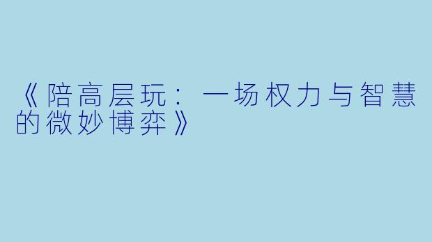《陪高层玩：一场权力与智慧的微妙博弈》