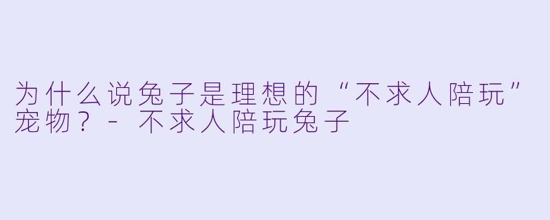 为什么说兔子是理想的“不求人陪玩”宠物？-不求人陪玩兔子
