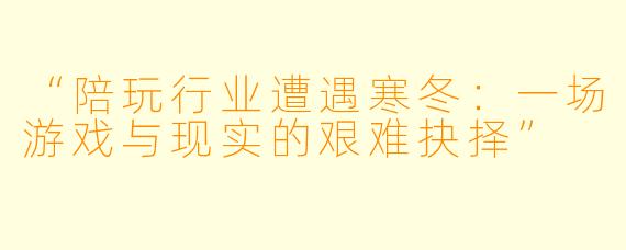 “陪玩行业遭遇寒冬：一场游戏与现实的艰难抉择”