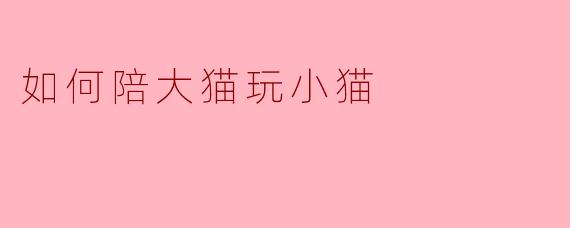 如何陪大猫玩小猫