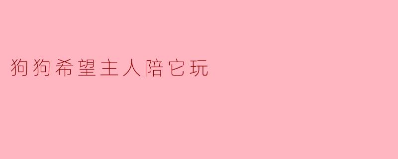狗狗希望主人陪它玩