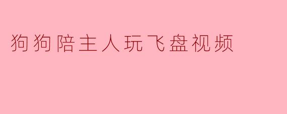 狗狗陪主人玩飞盘视频